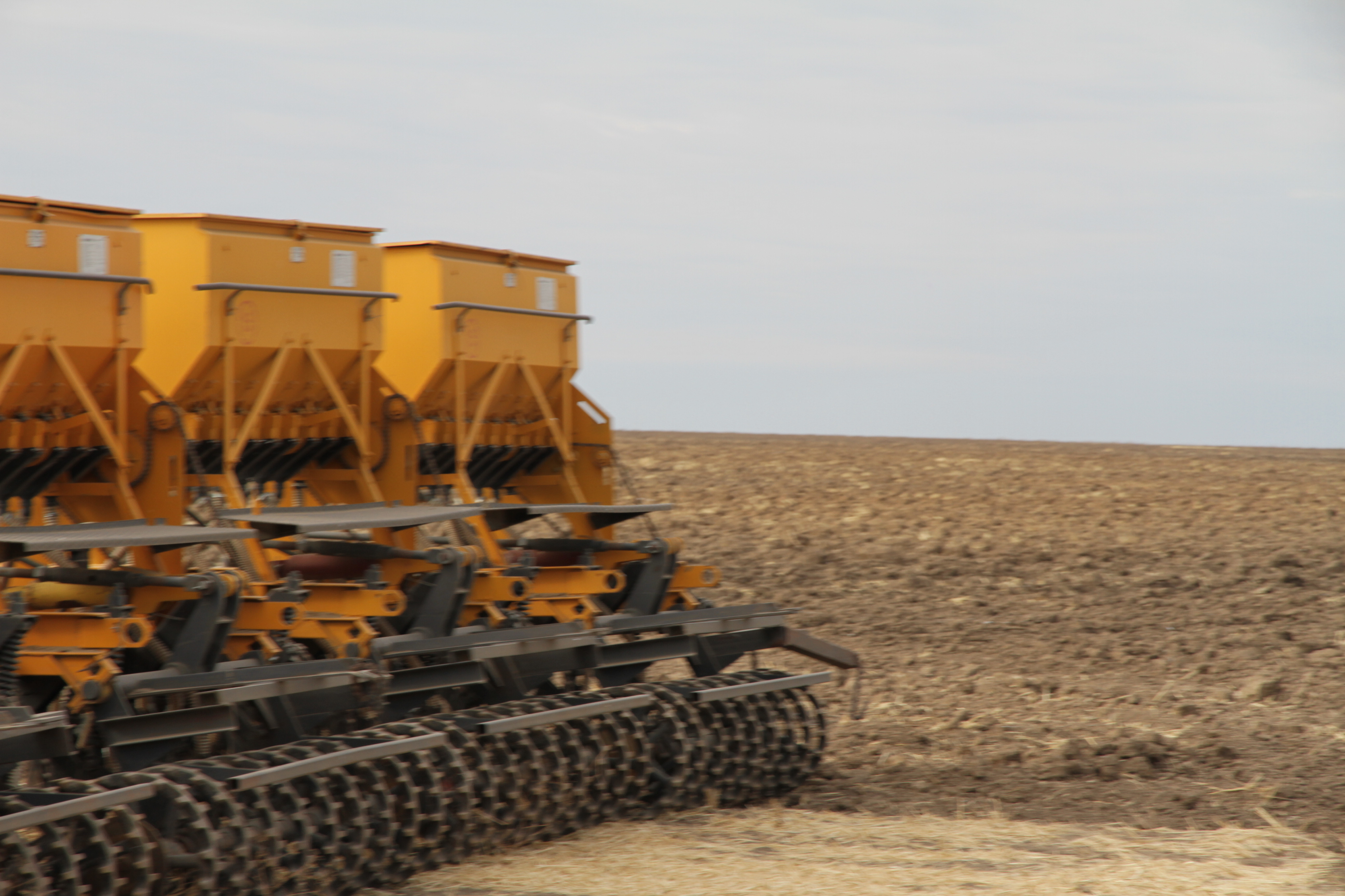 72 тысячи тонн зерна собрали в ЗКО